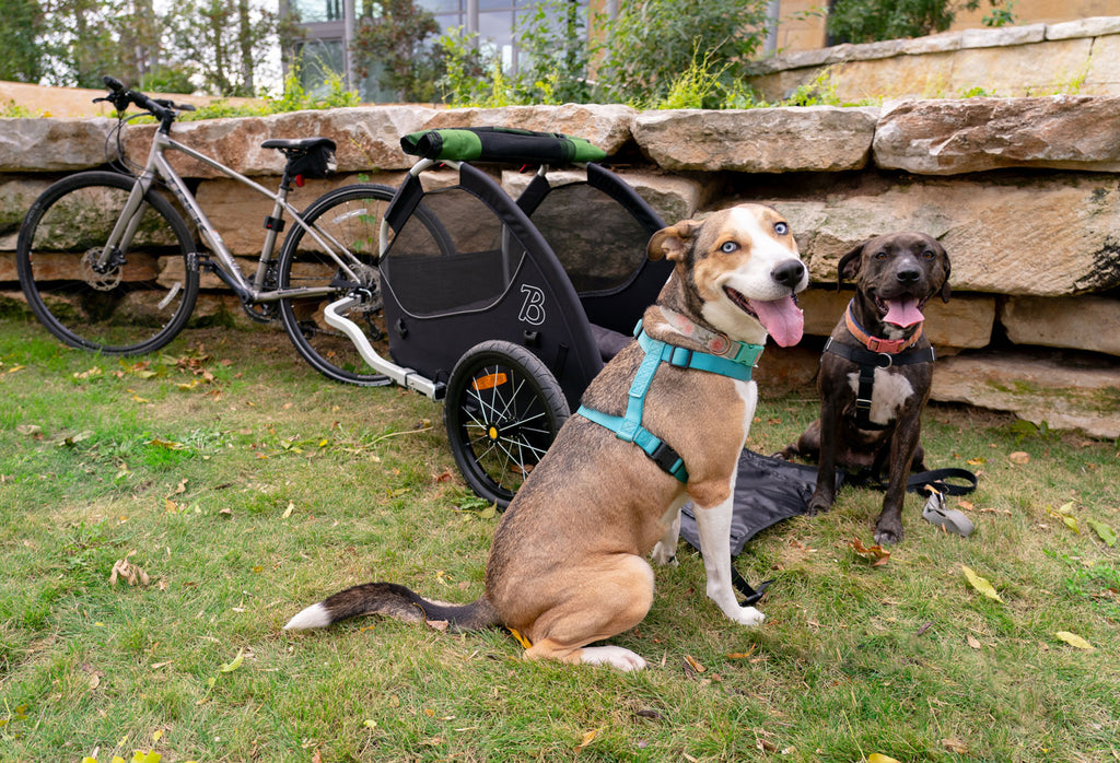 Burley Tail Wagon® Dog Bike Trailer