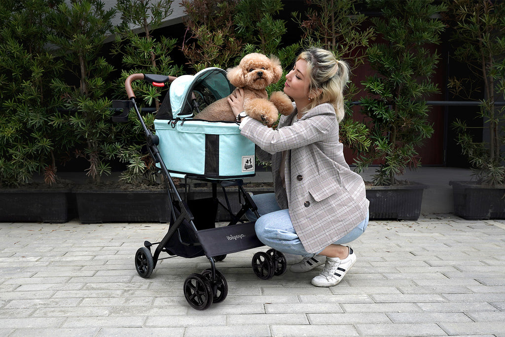 a dog in an Ibiyaya Tri-Fold pet stroller