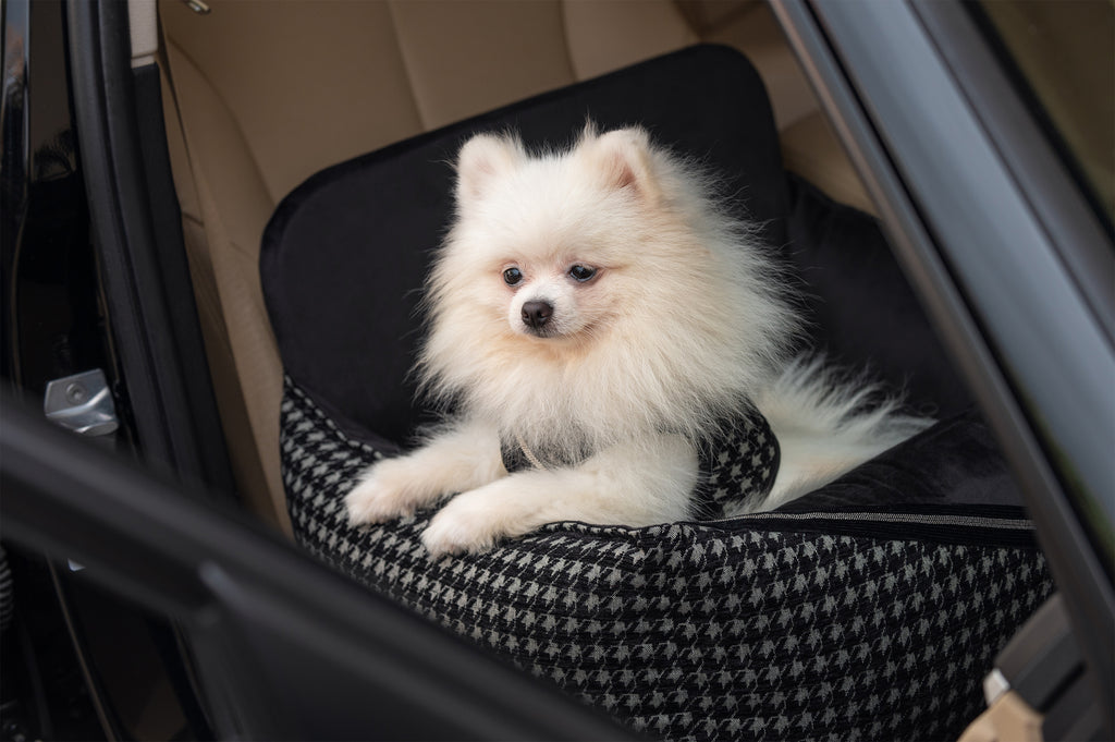 Dog care seat, Prestige