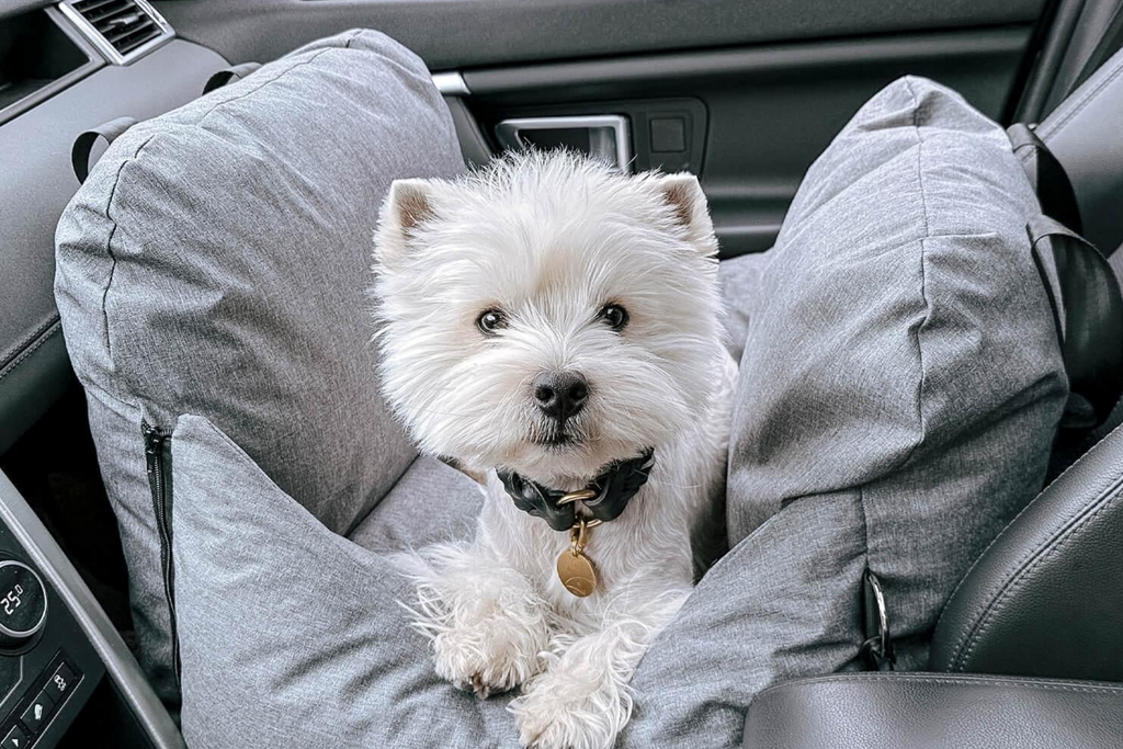 Dog Car Seat