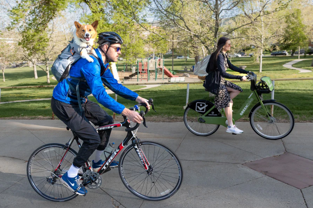 Cycling dog backpack