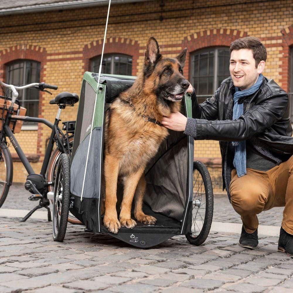 big dog bike trailer