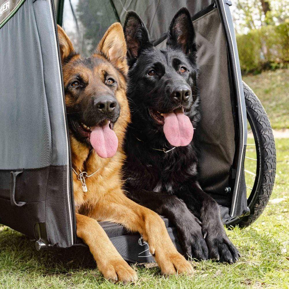 extra large dog trailer for bike