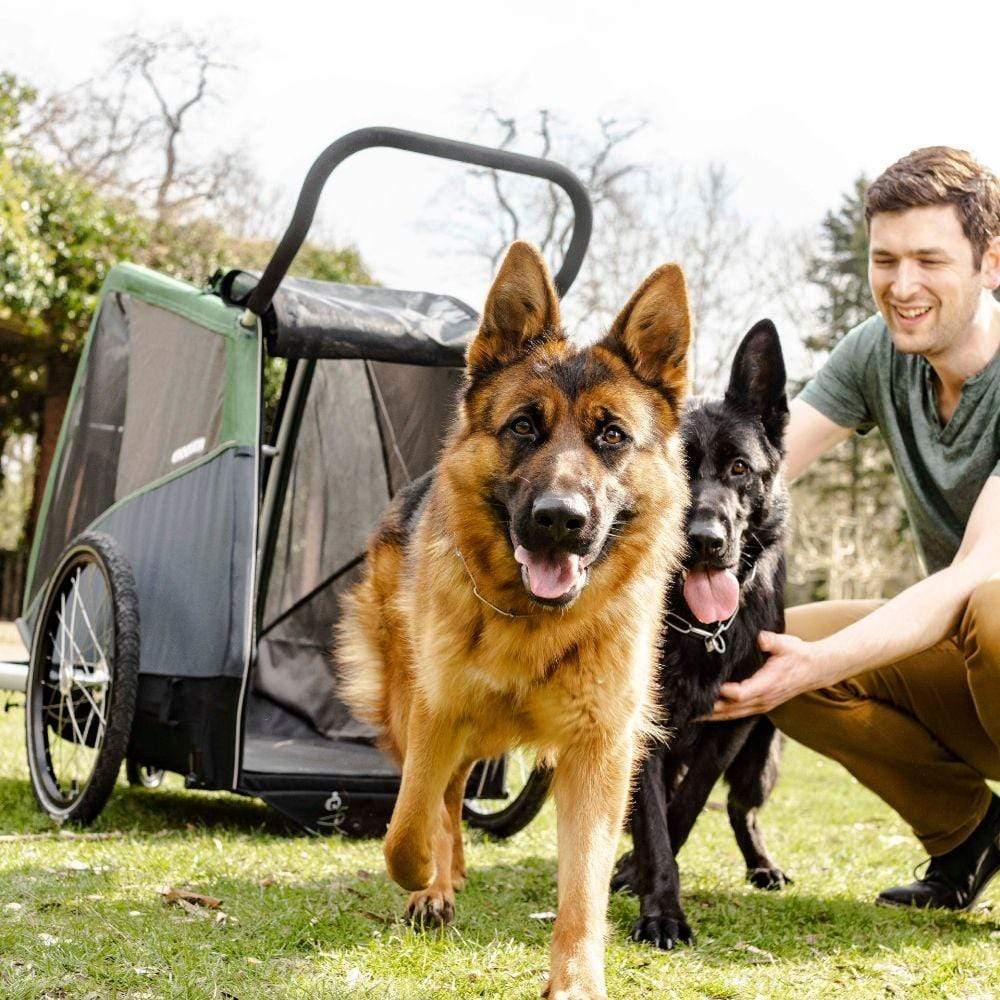 croozer dog bike trailer