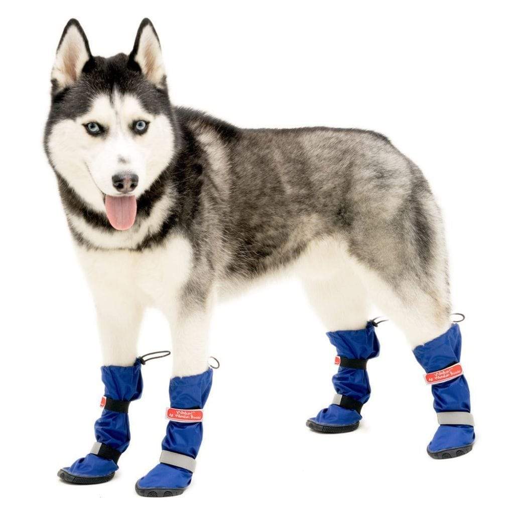 dog weather boots