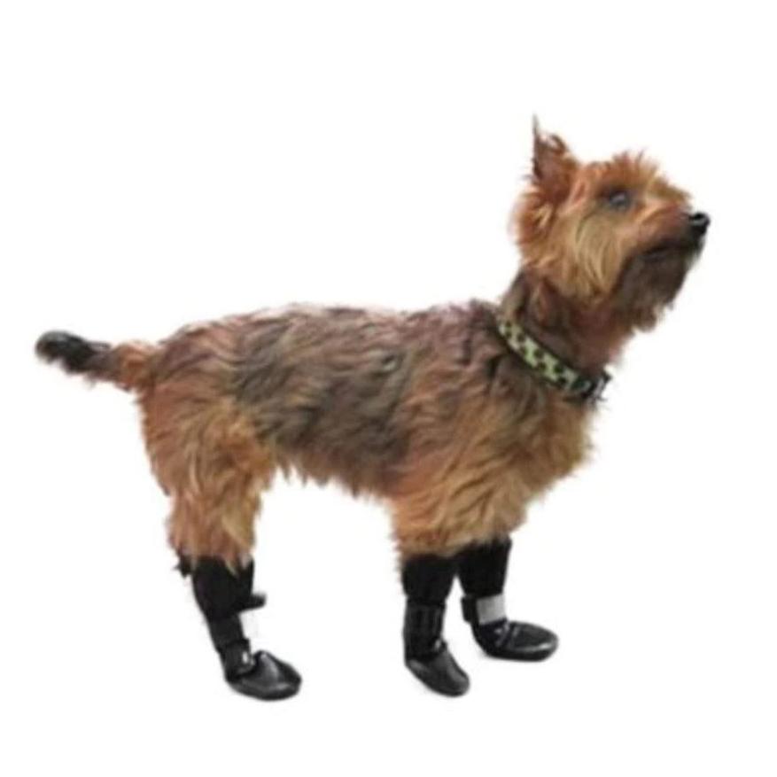 free dog boots