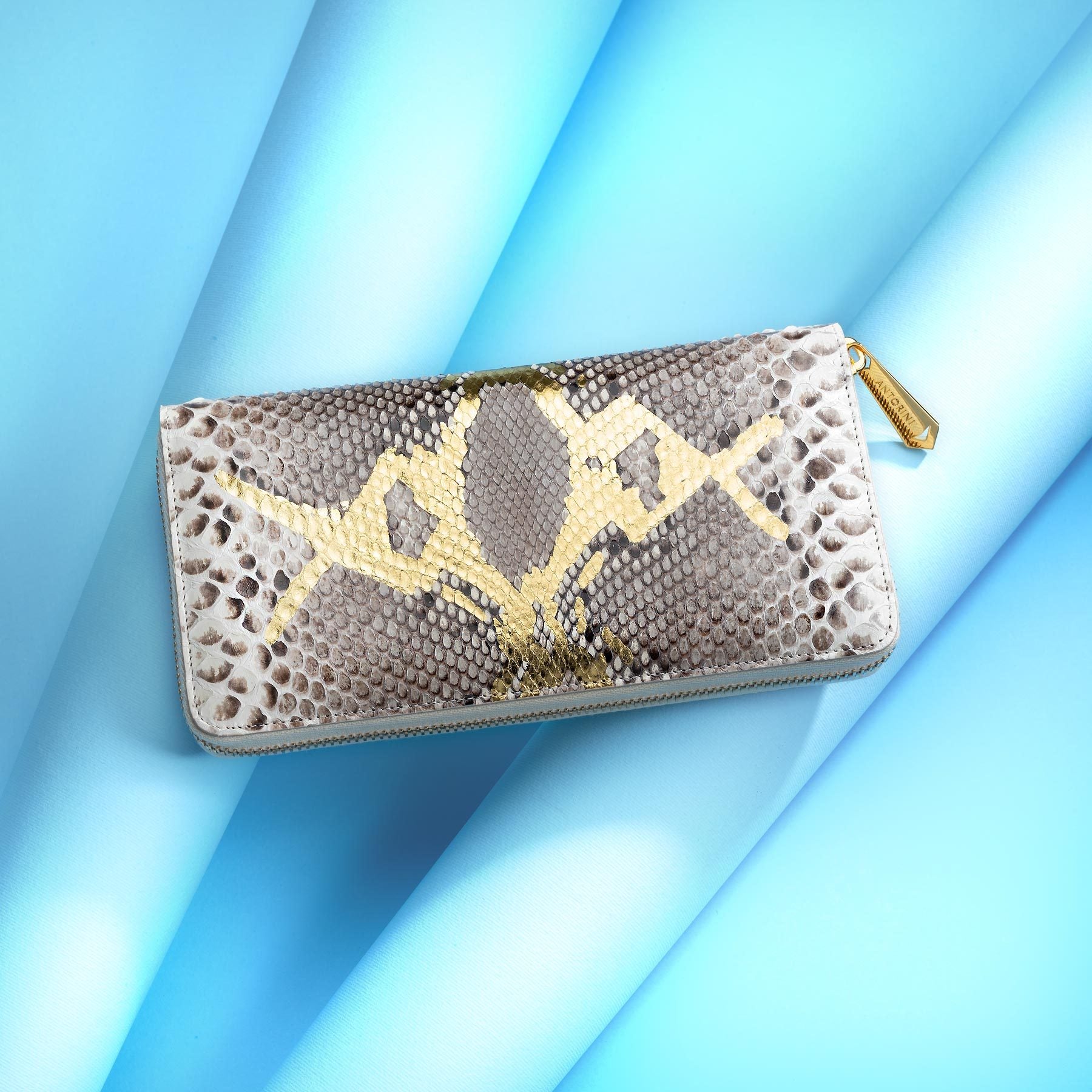 Snakeskin purse