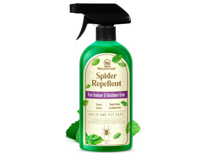 Natural Oust Peppermint Oil Spider Repellent Spray