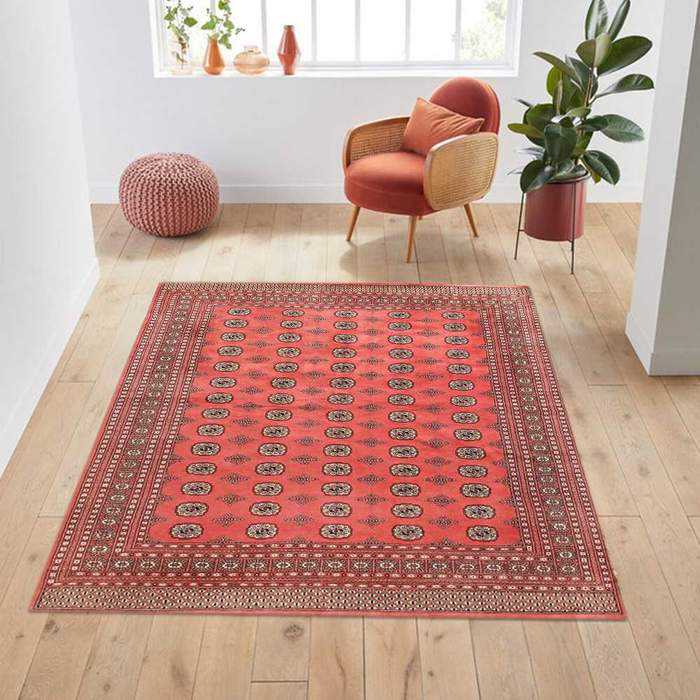 Coral Bokhara Area Rug