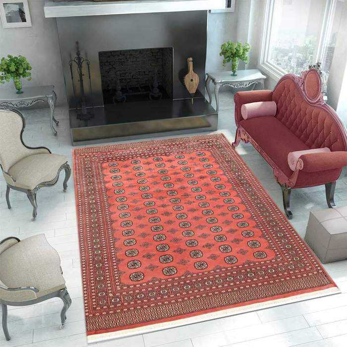 Coral Bokhara Area Rug