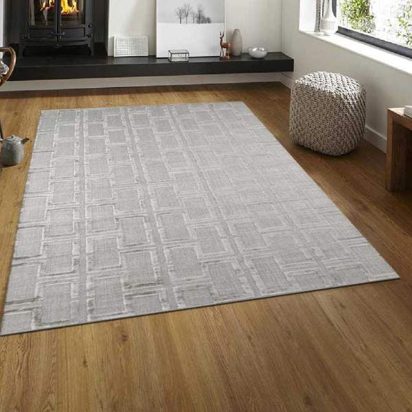 Grey Neutral Area Rug