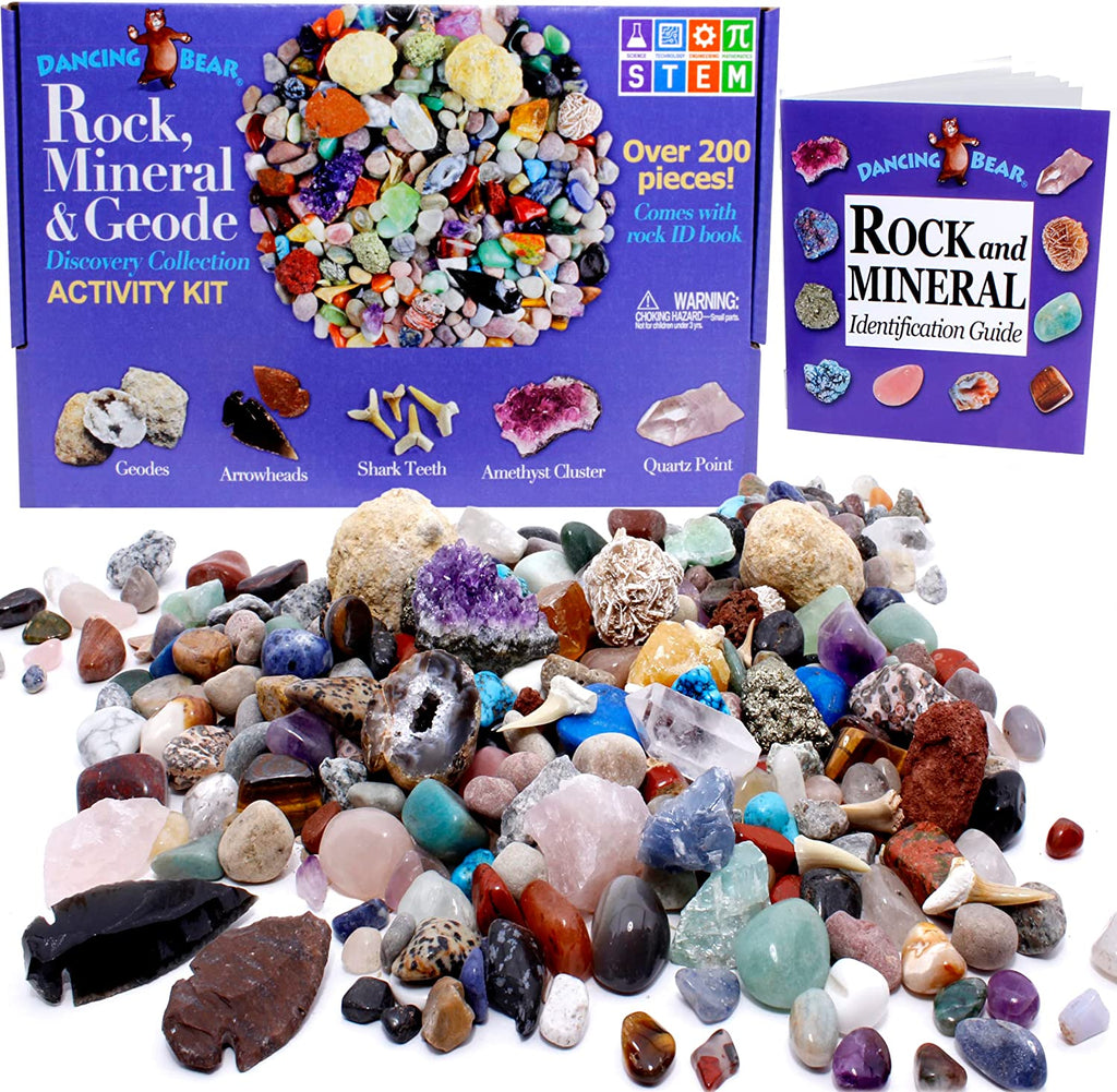 Dansing Bear Rock & Mineral Collection Activity Kit