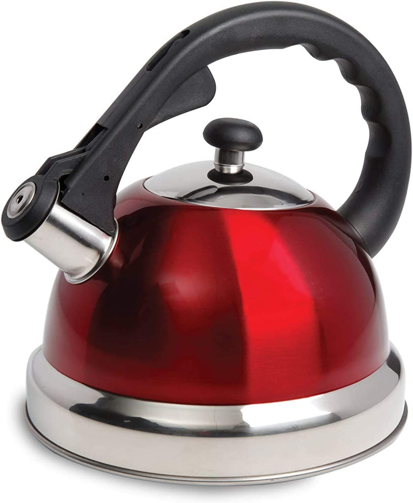 The 11 Best Kettles For 2023 - RugKnots