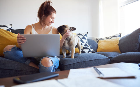 Pet Friendly Upholstery Fabrics