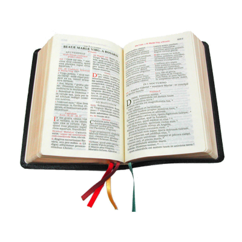 How To Say The Breviary Ebook