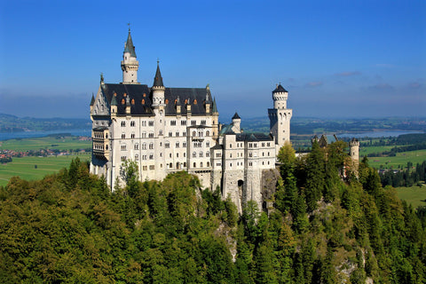 Das Schloss Neuschwanstein im Hintergrund mit strahlend blauem Himmel und Wäldern und Wiese drum herum.