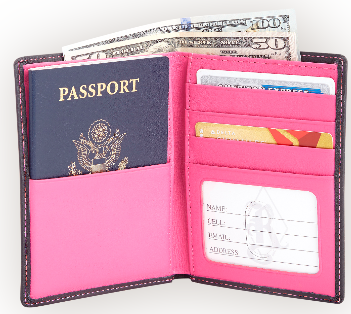 majoor Herziening geschenk RFID Blocking Passport Wallet | The Monogram Merchant