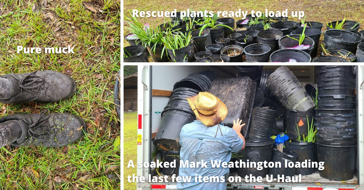 plant conservation methods, dirty shoes and loading up