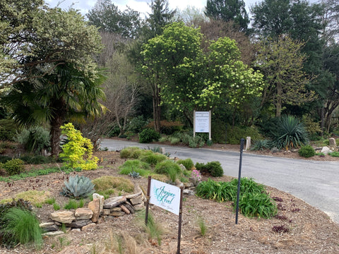 Image of the entrance drive to Juniper Level Botanic Garden.