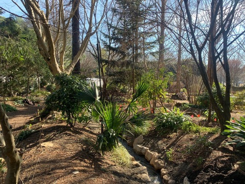 Image showing an example of light shade in the garden.