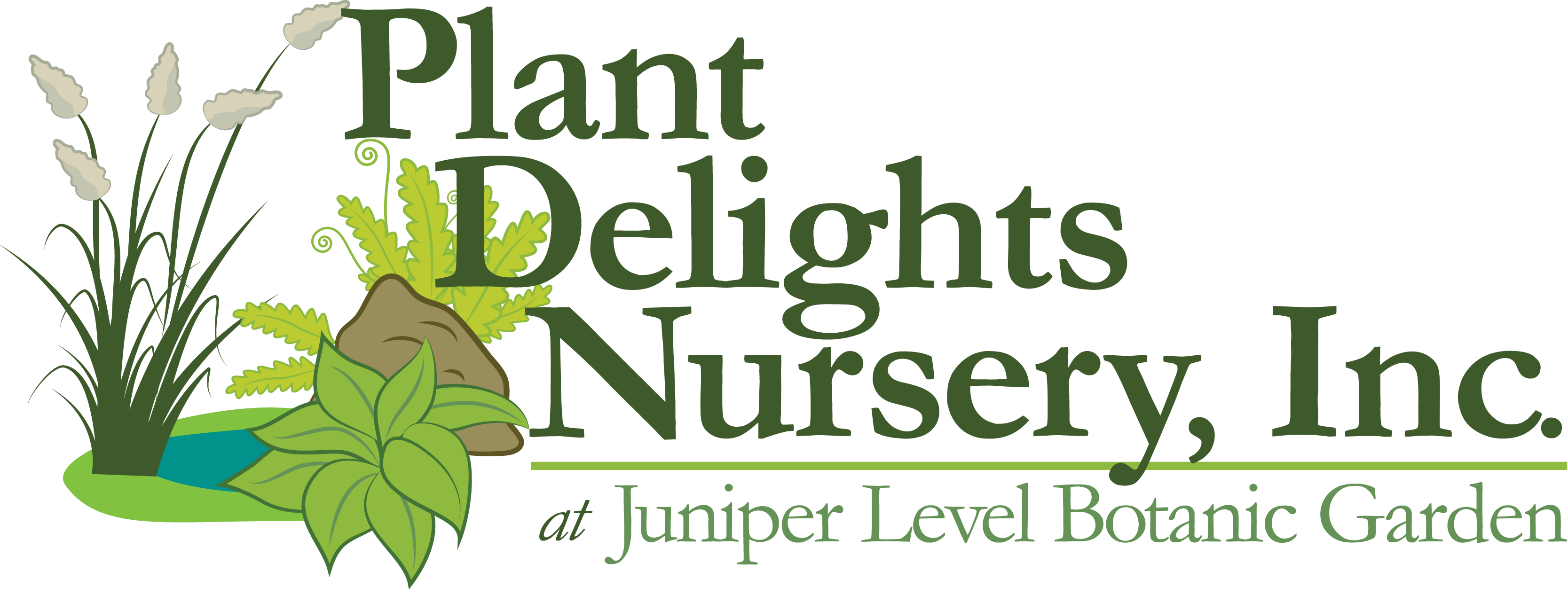 Lets plant. Juniper Level Botanic Gardens. Juniper Level Botanic Gardens Plants. Juniper Inc. Джунипер цветок.
