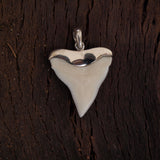 Shark tooth silver