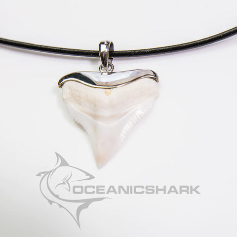 Fathers day gift ideas shark tooth necklace