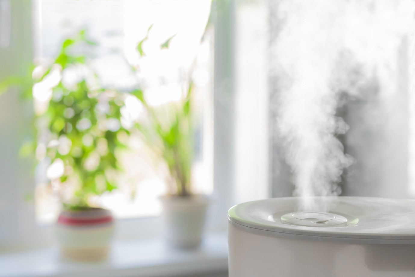 bedroom humidifier to help you sleep