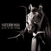 Neurosis 