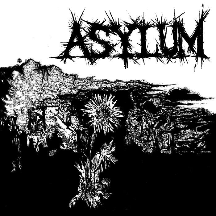 Asylum 