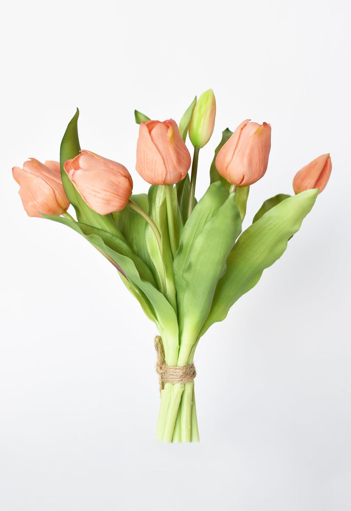 Tulip Flower Stems Bundle, 10 Piece –