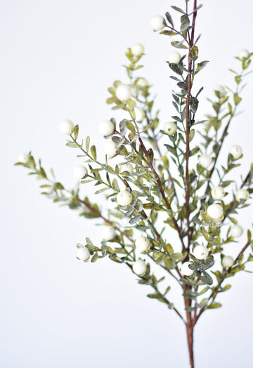 Faux White Berries and Leaves Stem - World Market