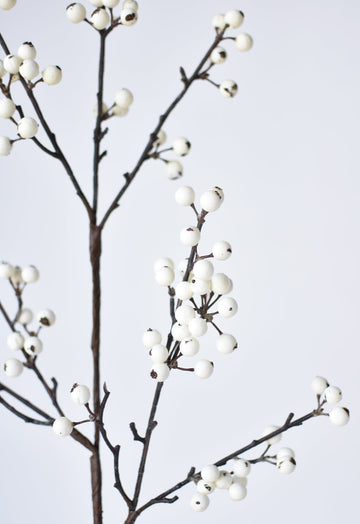 Glittered White Berry Cluster Stem – Design Shop By Shell
