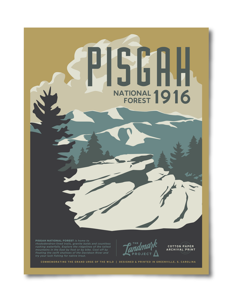 Pisgah National Forest Poster