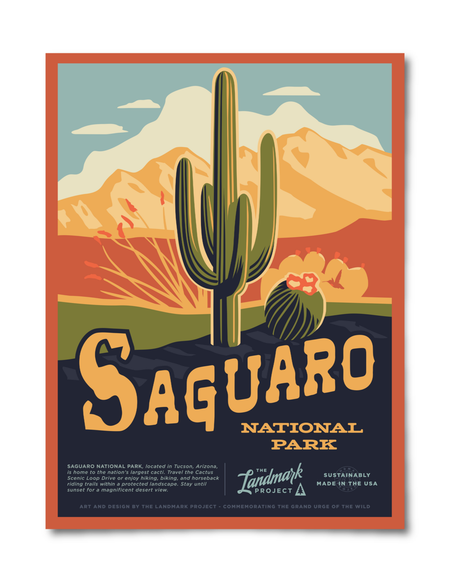 Saguaro National Park Poster