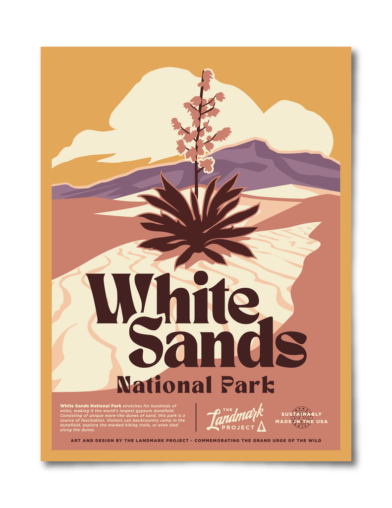 White Sands National Park poster