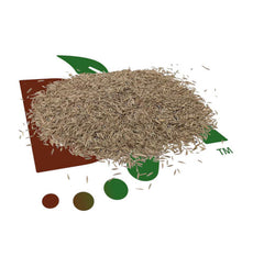 Drought Resistant Turf Grass Seed Blend with Microclover