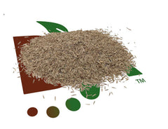 Drought Resistant Turf Grass Seed Blend with Microclover