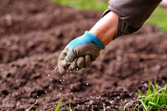 Gardener spreads fertilizer