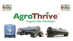 Phosphorus-Rich Organic Fertilizer