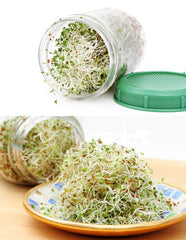 Sprout Lid For Mason Jars