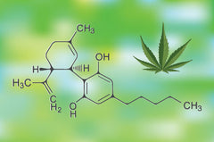 CBD Cannabis Formula