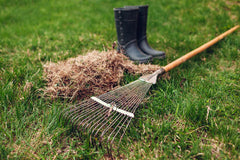 Yard dethatching rake and books on lawn