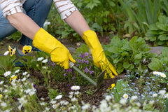 Gardener Removes Weeds from Garden