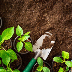 Soil with plants and hand shovel