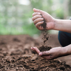Hands sifting through soil