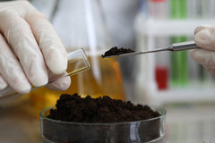 Scientist Tests Soil for Nutrients
