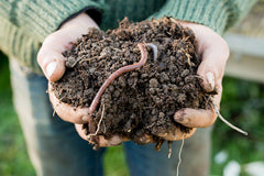 Gardener Holding Handful of Soil with Earthworms