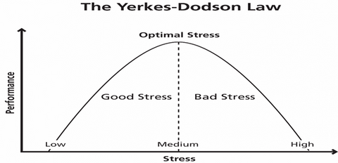 Yerkes- Dodson Law