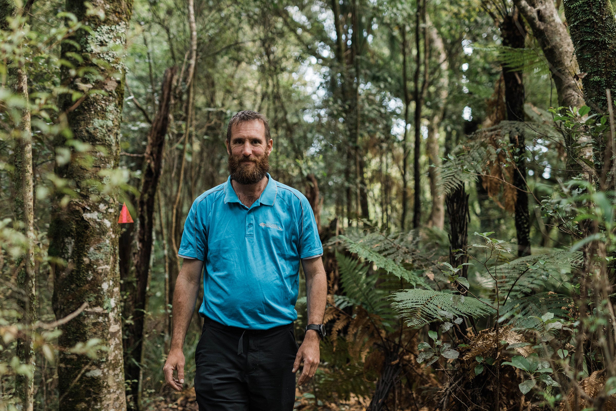 Roger Bawden, RET: Helping kōkako populations thrive – Kokako Organic ...